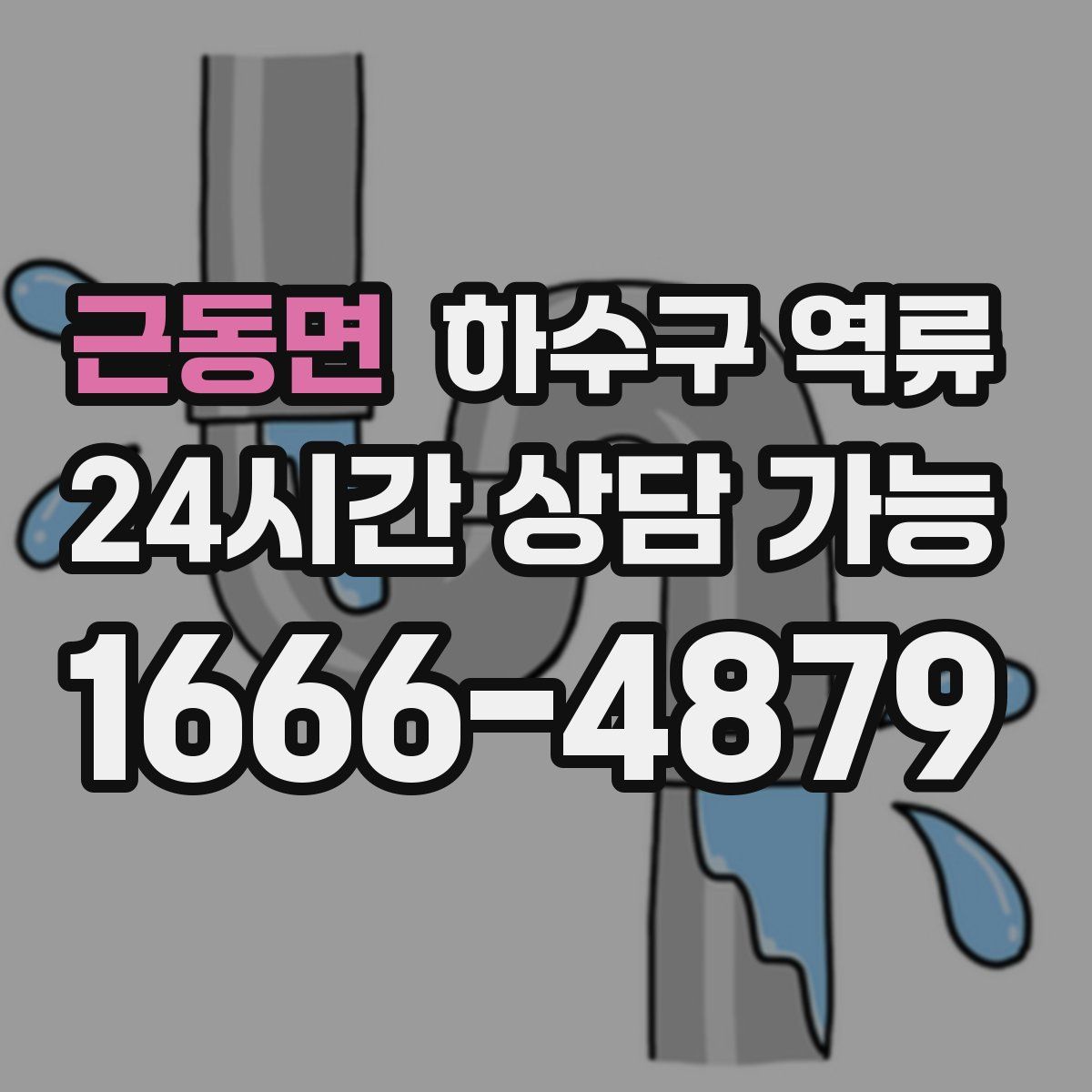 근동면 하수구 역류