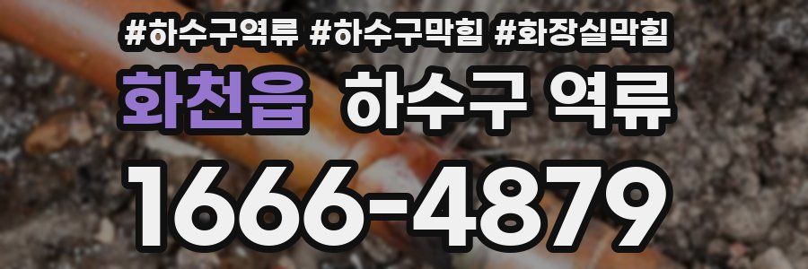 화천읍 하수구 역류