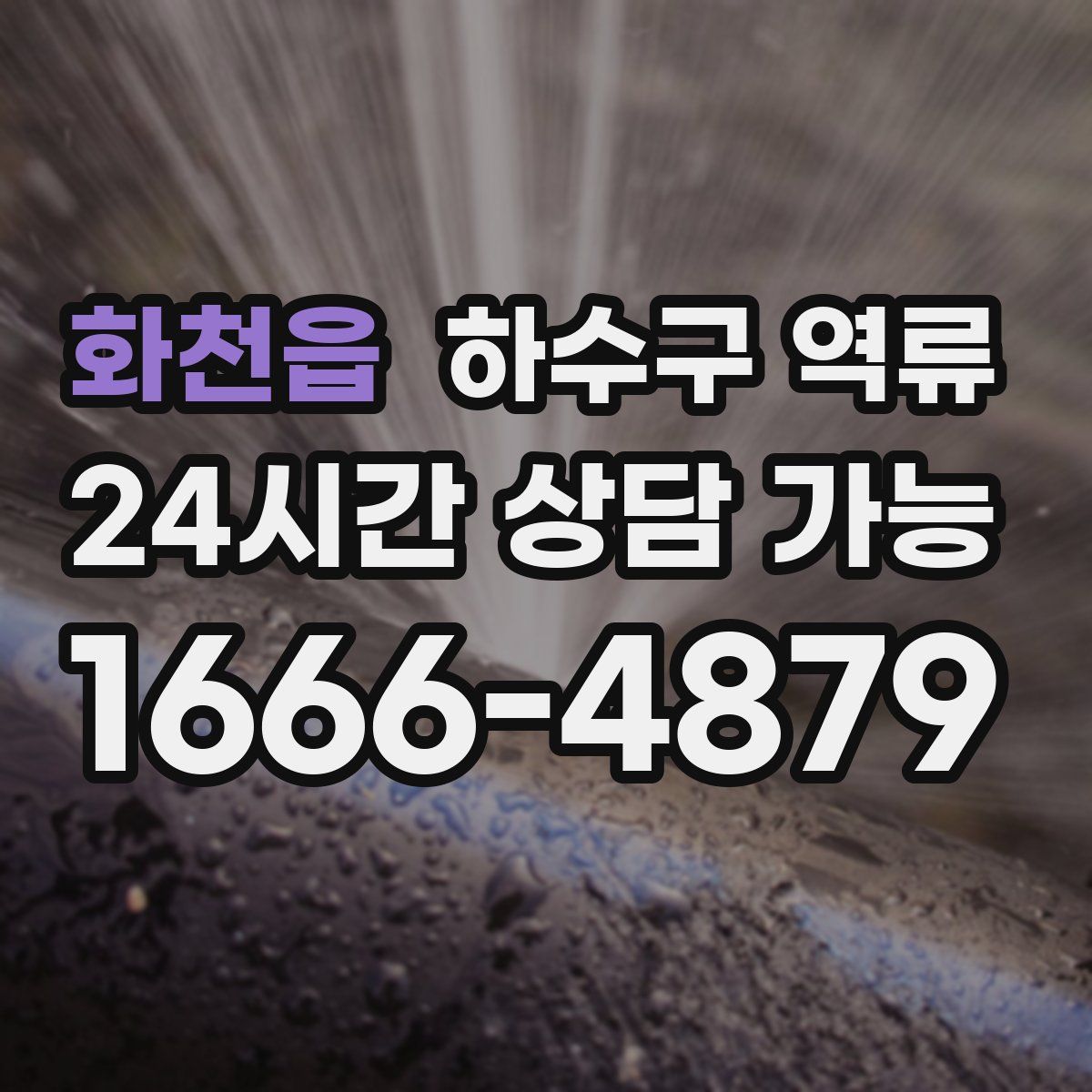 화천읍 하수구 역류