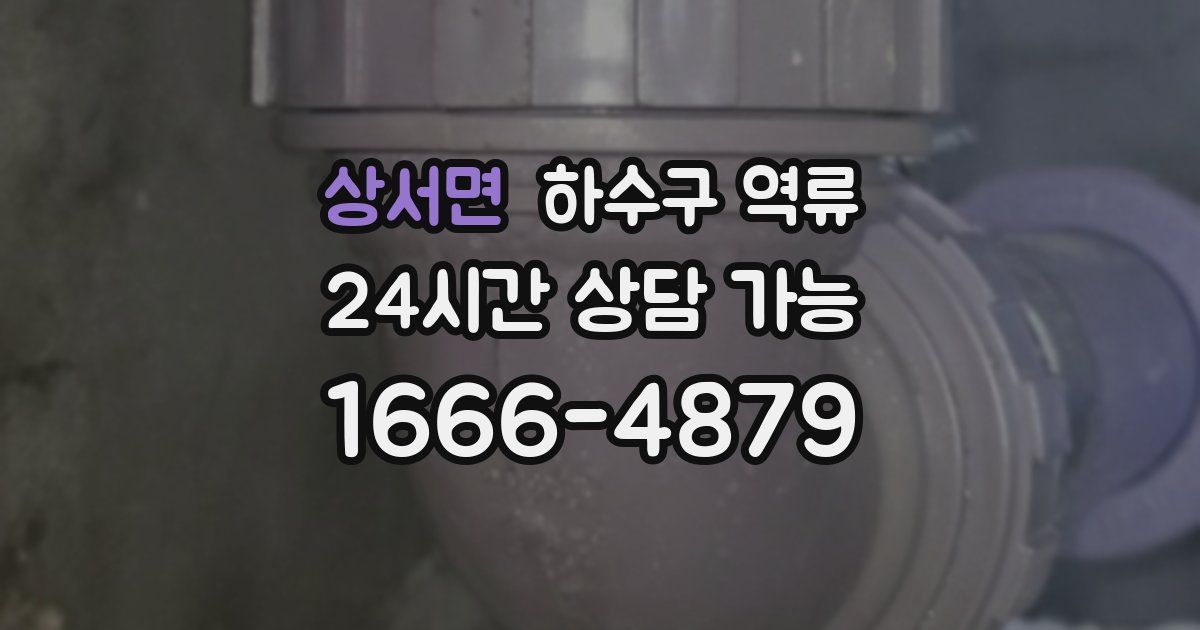 상서면 하수구 역류
