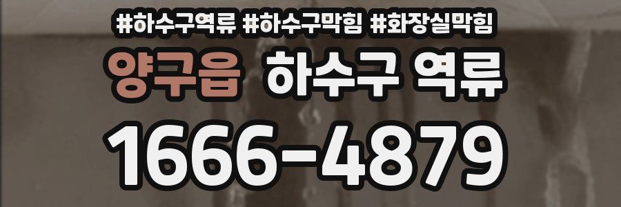 양구읍 하수구 역류