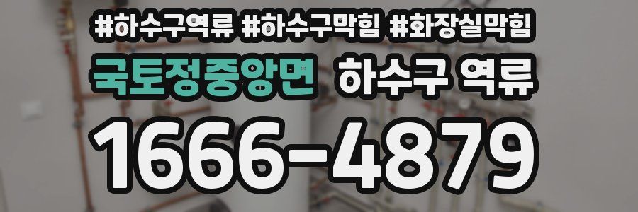 국토정중앙면 하수구 역류