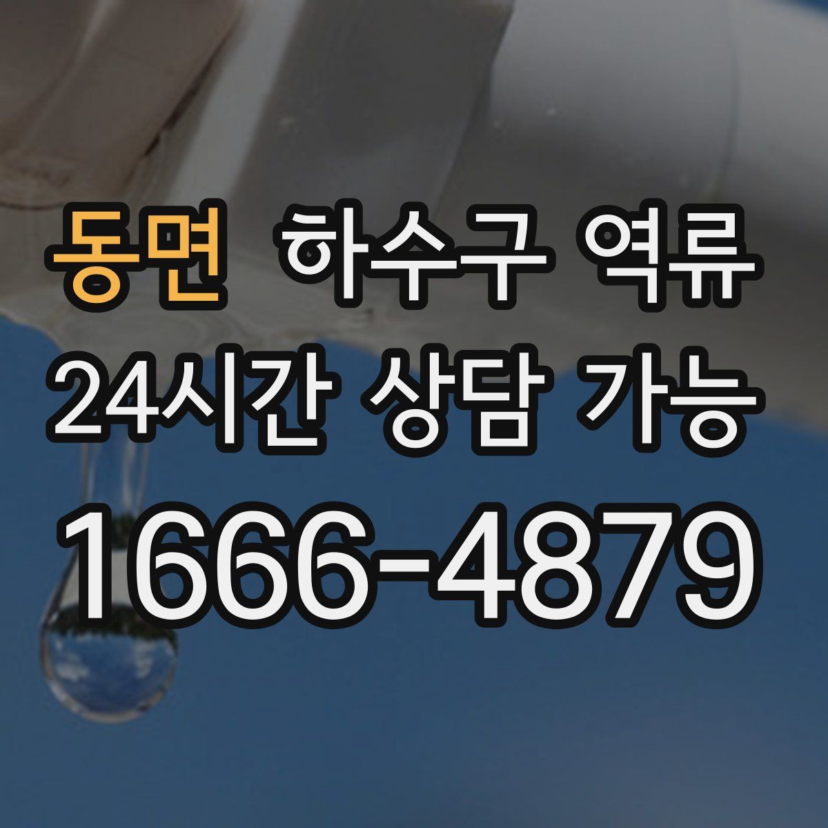 동면 하수구 역류