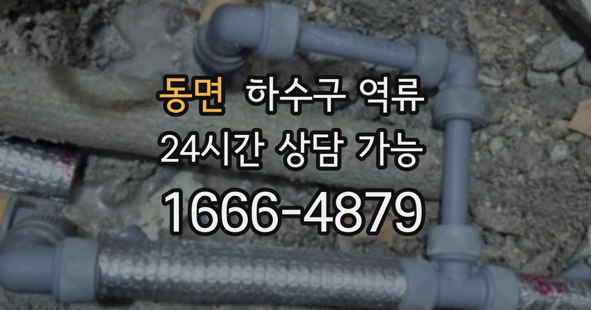 동면 하수구 역류