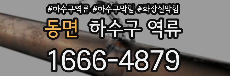 동면 하수구 역류