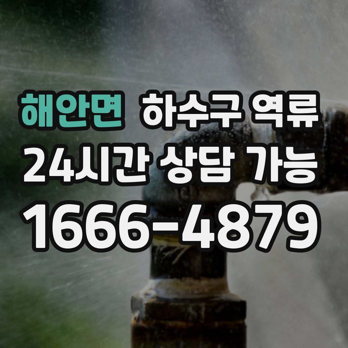 해안면 하수구 역류