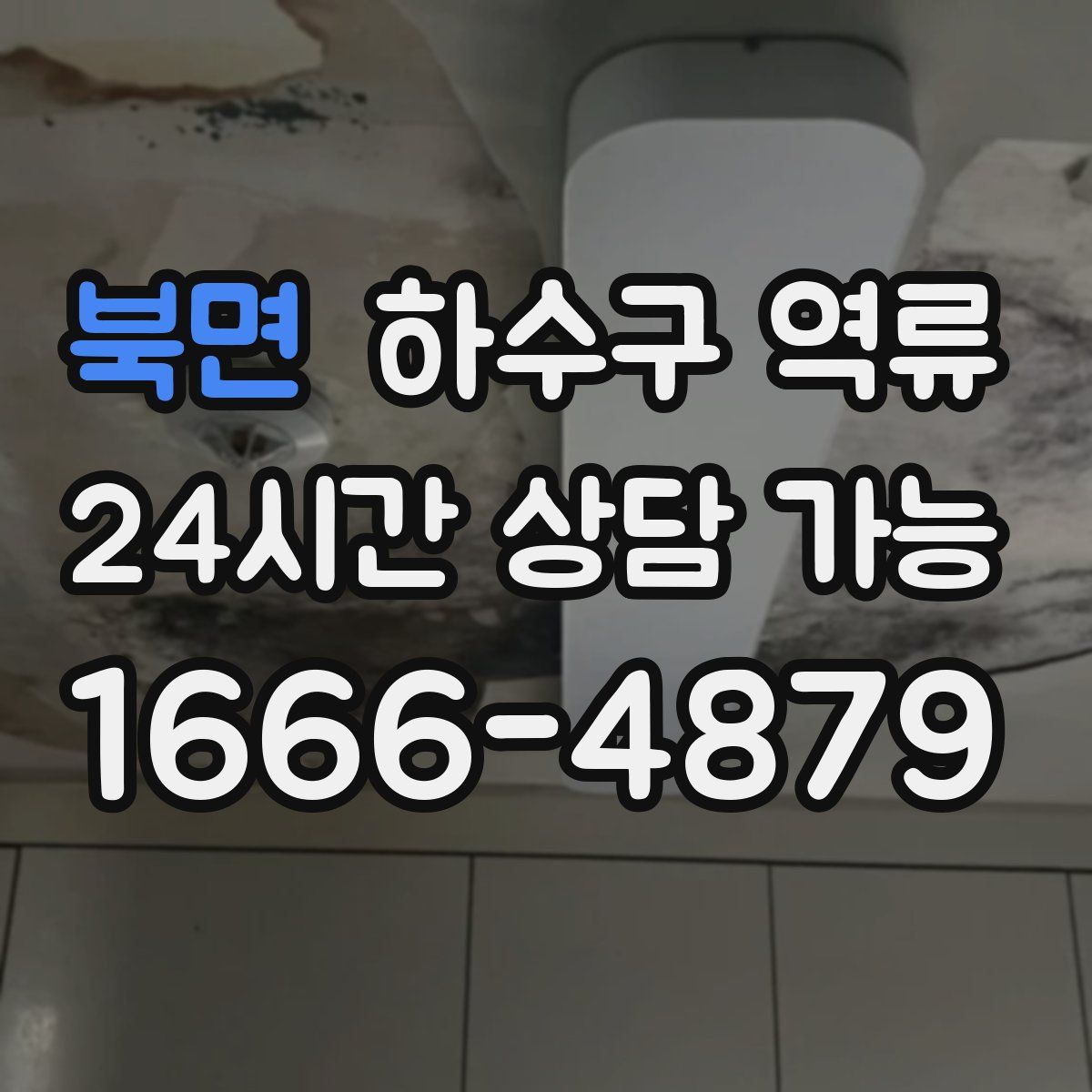 북면 하수구 역류