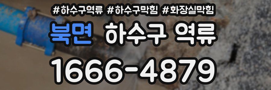 북면 하수구 역류