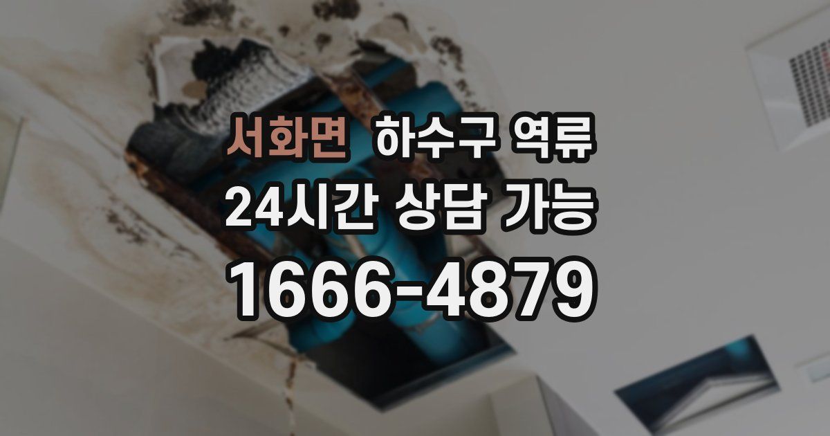 서화면 하수구 역류