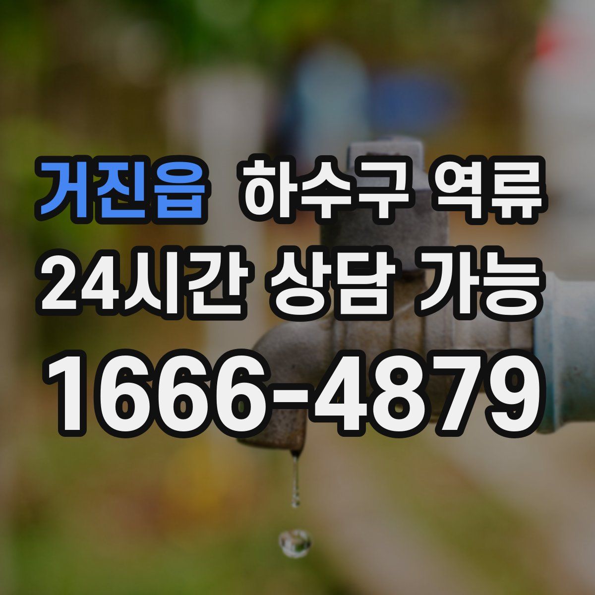 거진읍 하수구 역류