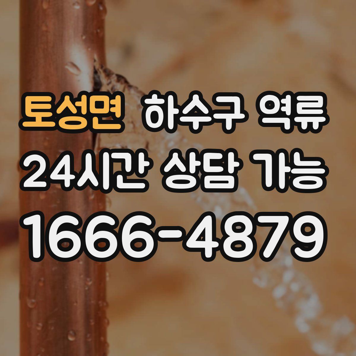 토성면 하수구 역류