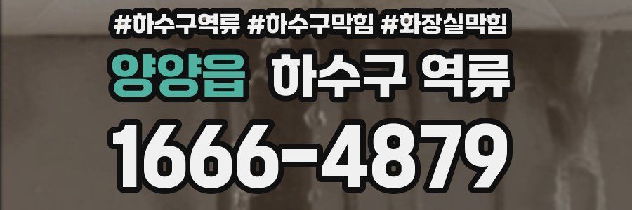 양양읍 하수구 역류