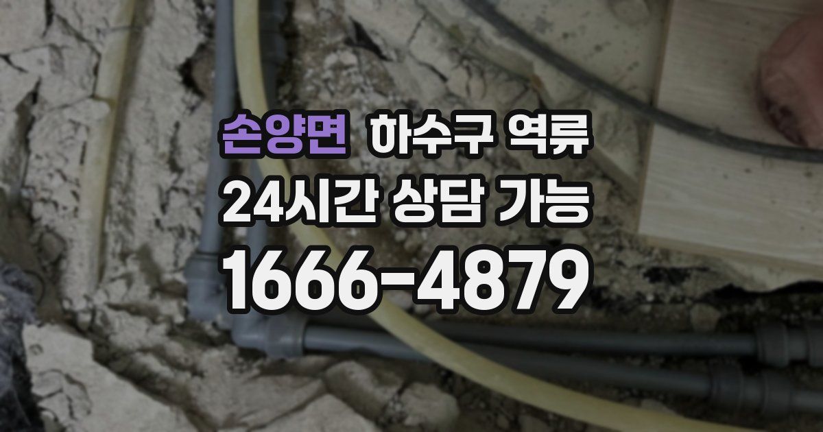 손양면 하수구 역류