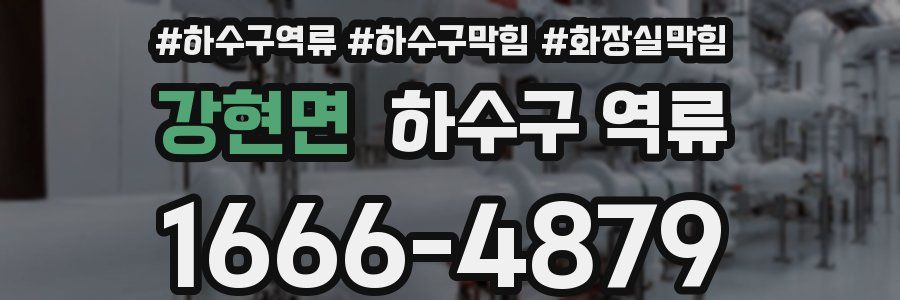 강현면 하수구 역류