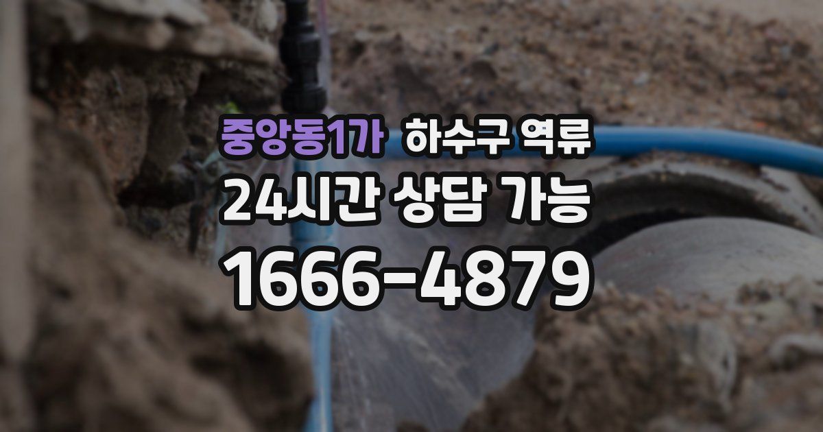 중앙동1가 하수구 역류