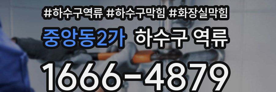 중앙동2가 하수구 역류