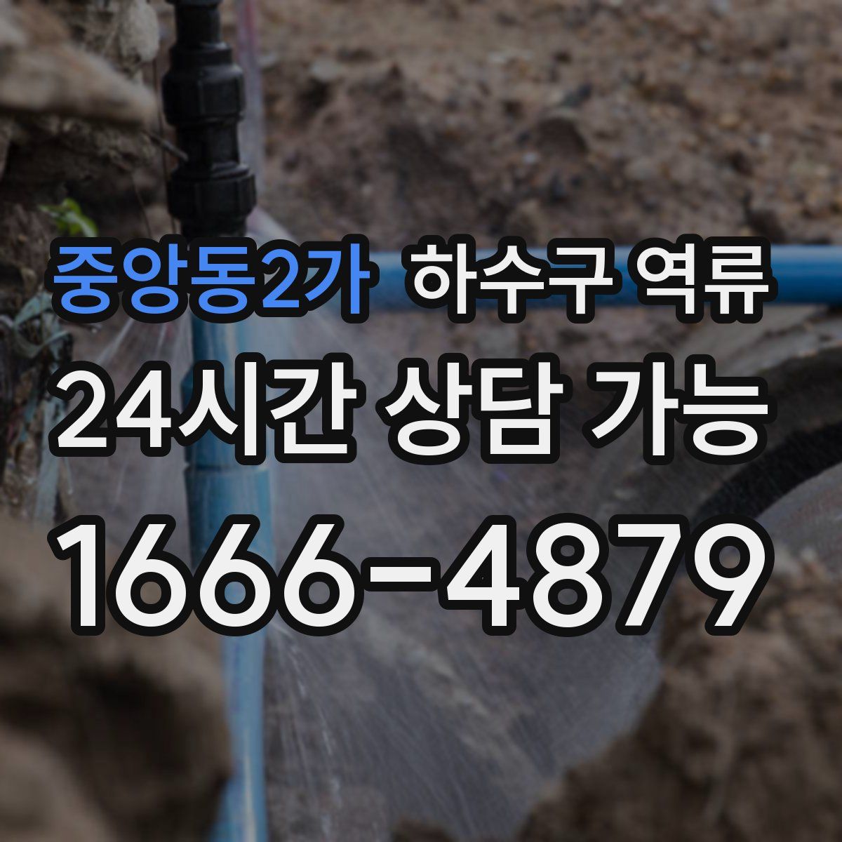 중앙동2가 하수구 역류