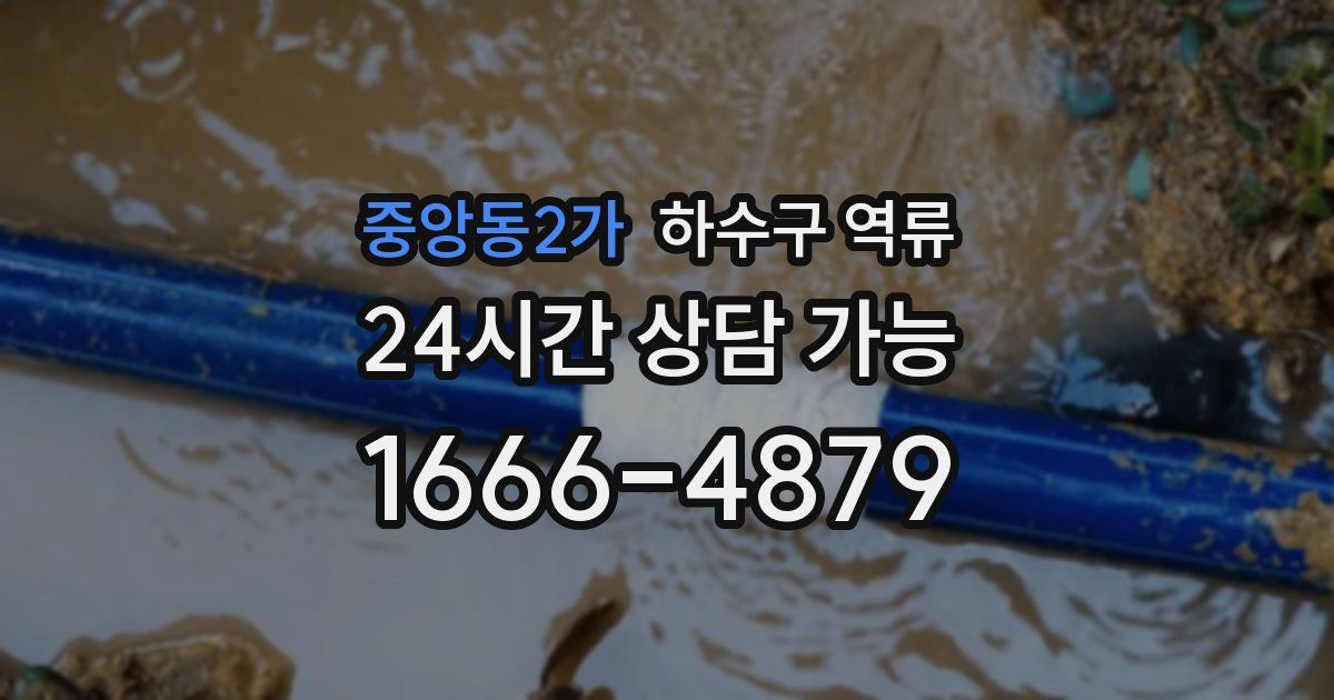 중앙동2가 하수구 역류