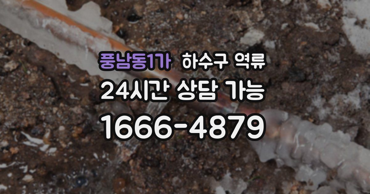 풍남동1가 하수구 역류