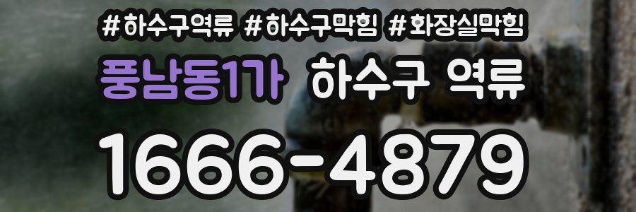 풍남동1가 하수구 역류