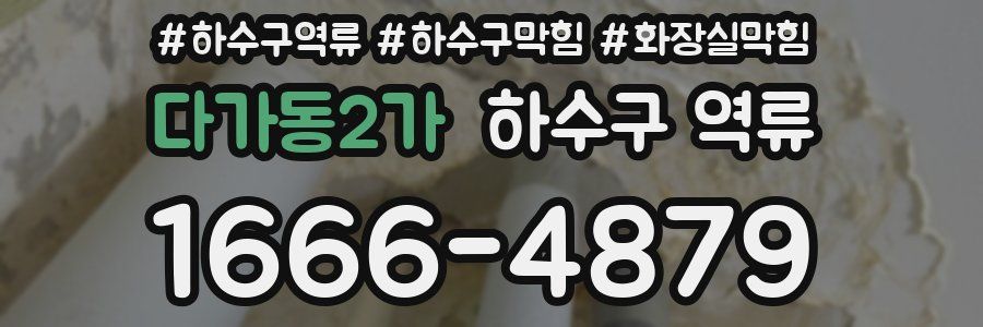 다가동2가 하수구 역류