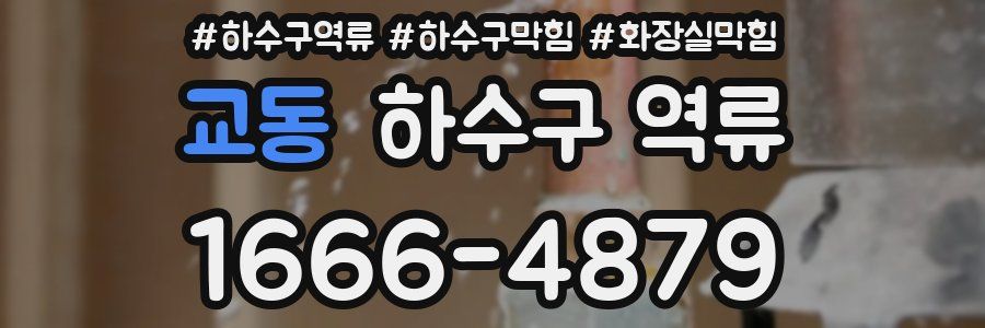 교동 하수구 역류