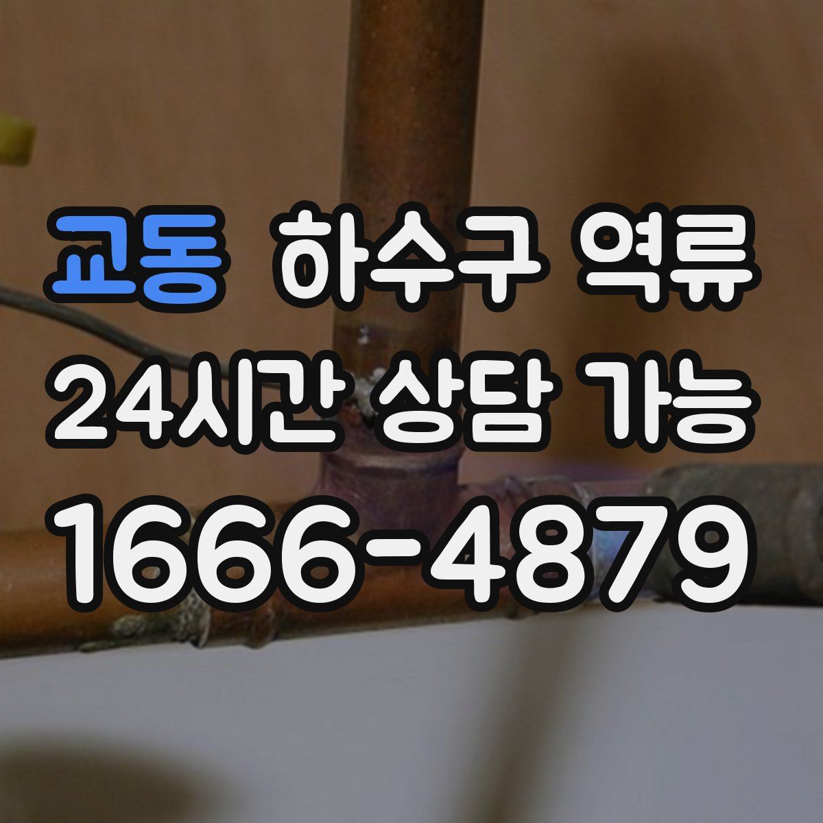 교동 하수구 역류