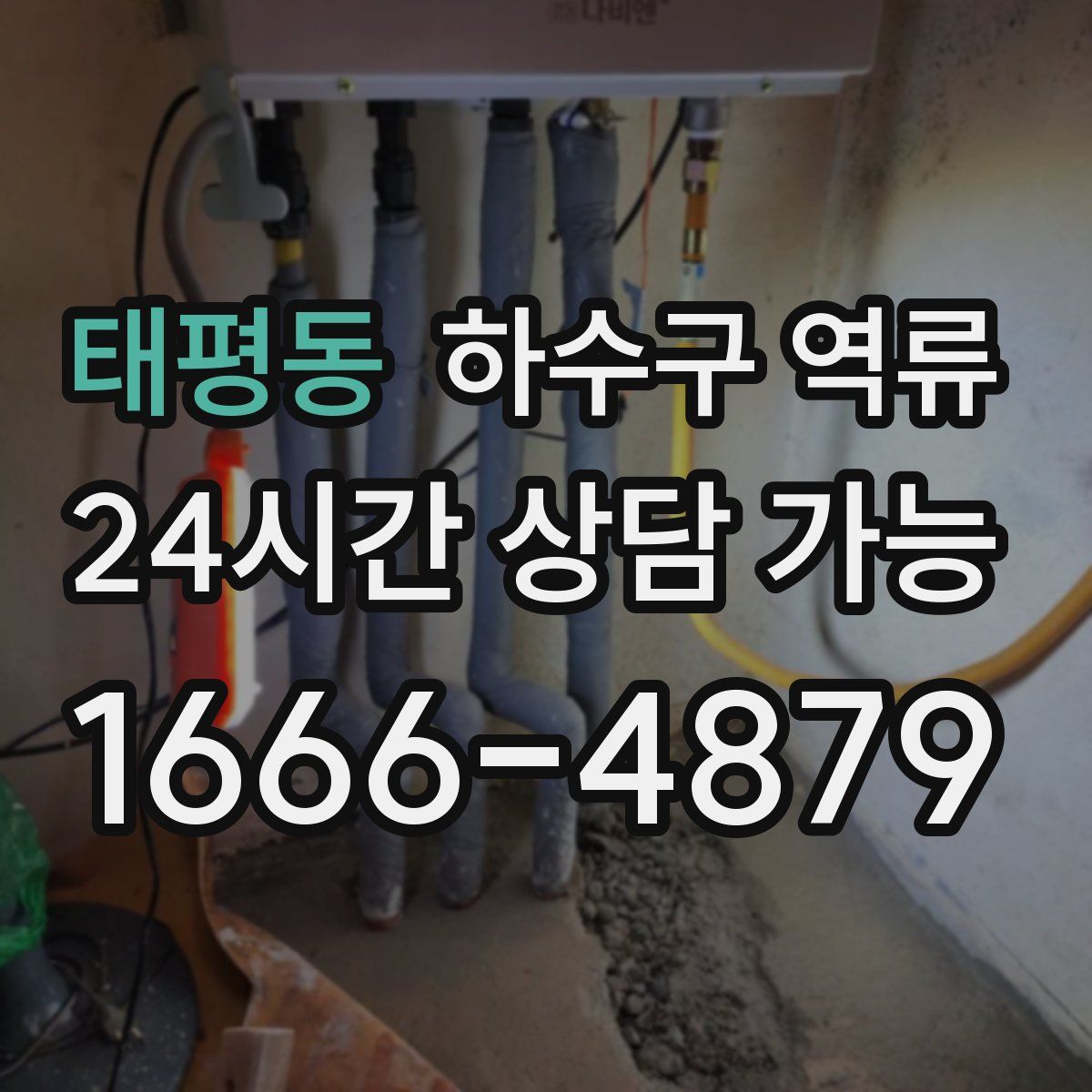 태평동 하수구 역류