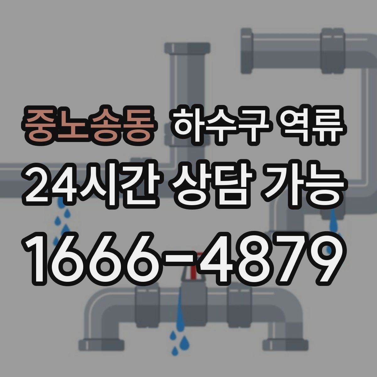 중노송동 하수구 역류