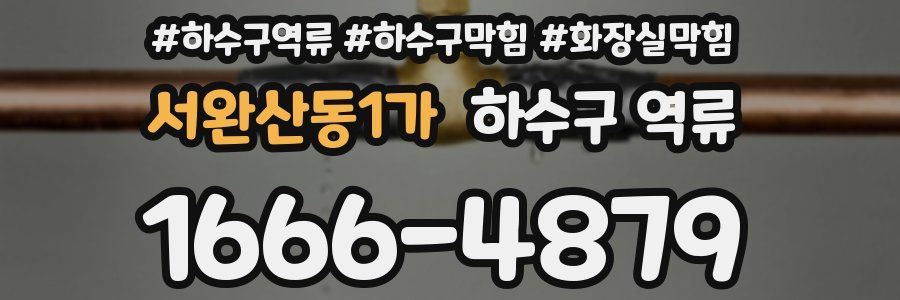 서완산동1가 하수구 역류