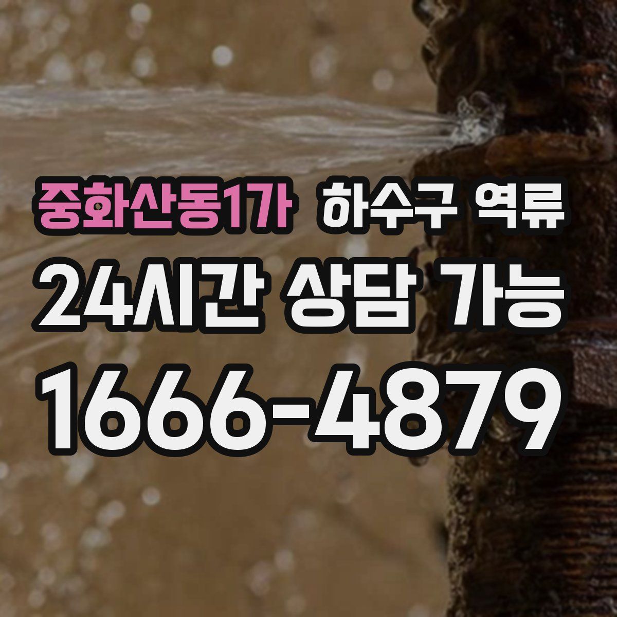 중화산동1가 하수구 역류