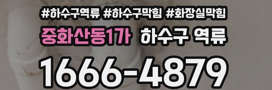 중화산동1가 하수구 역류