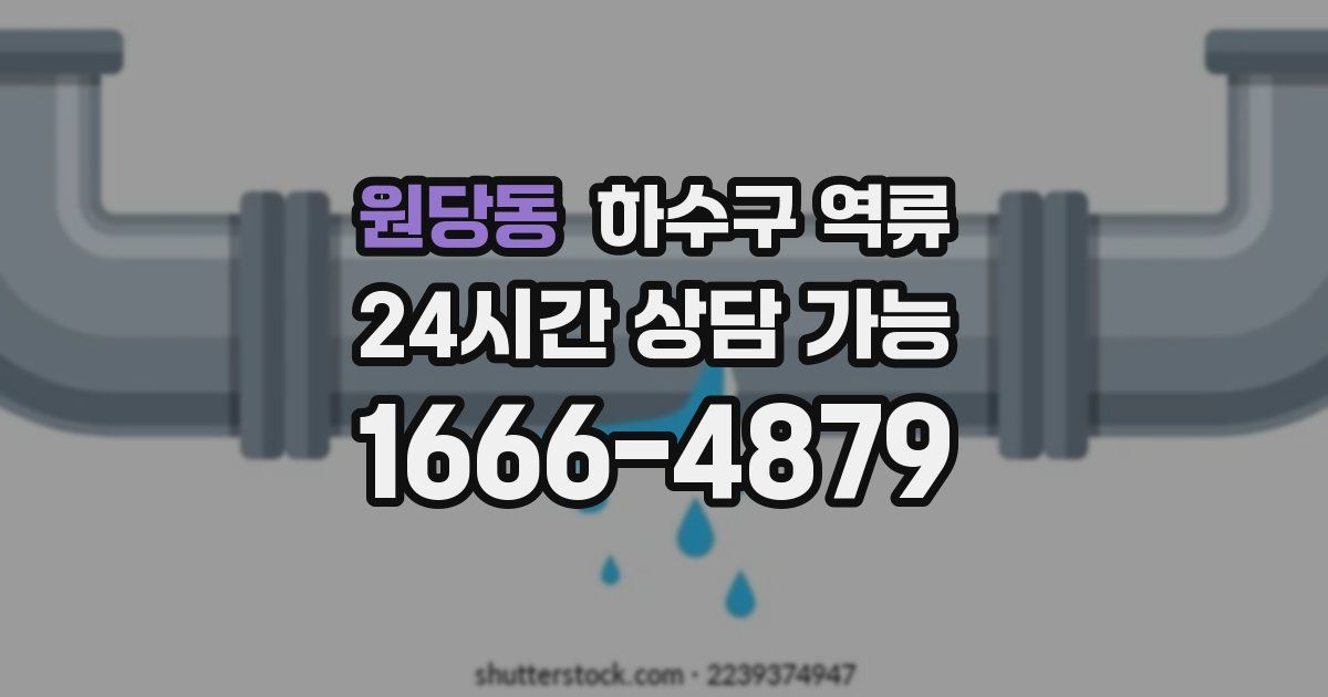 원당동 하수구 역류