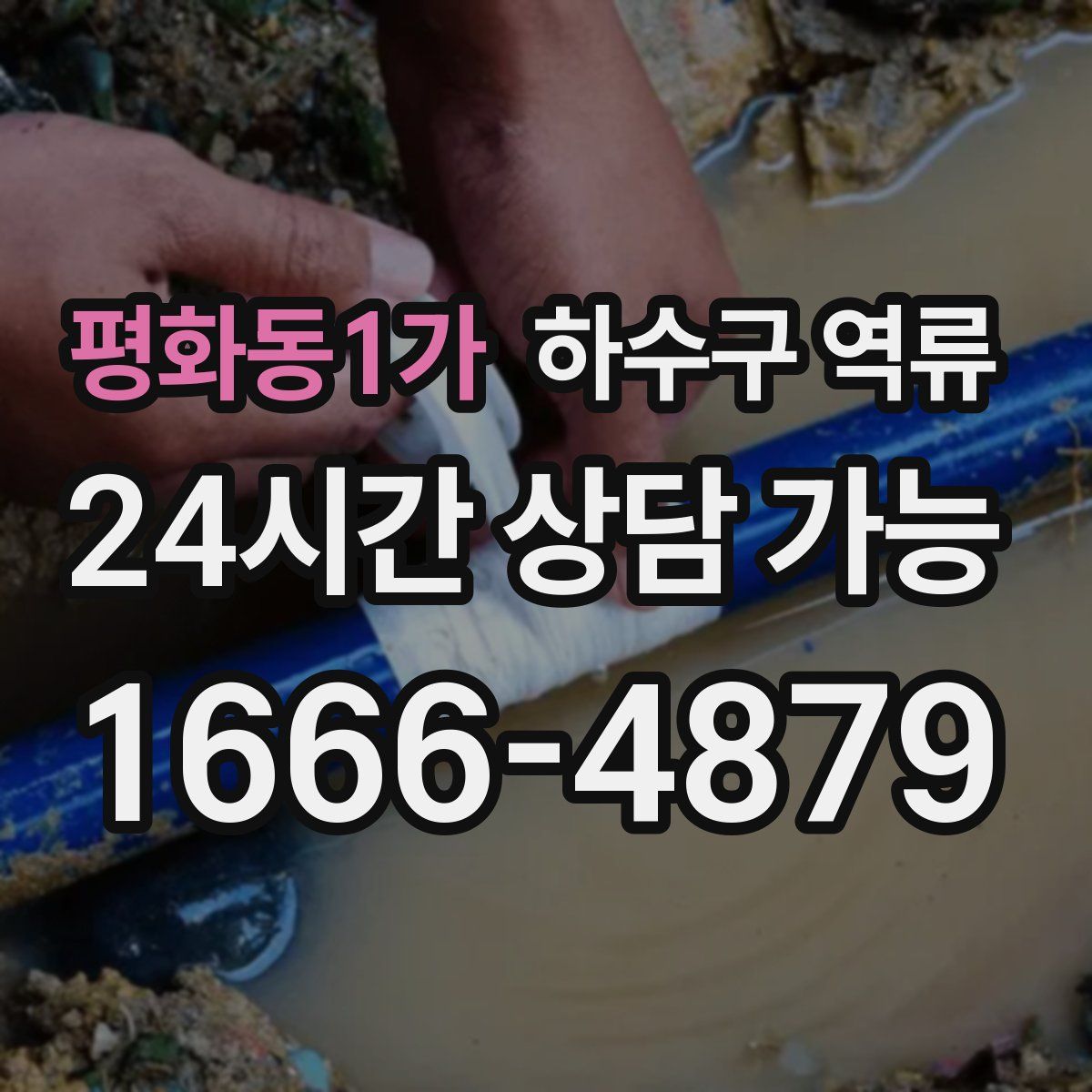 평화동1가 하수구 역류