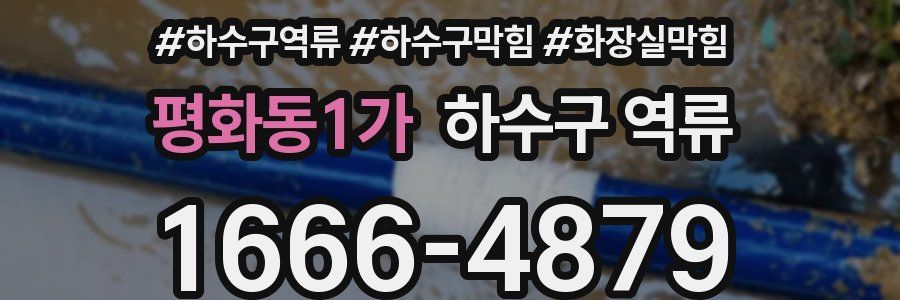 평화동1가 하수구 역류