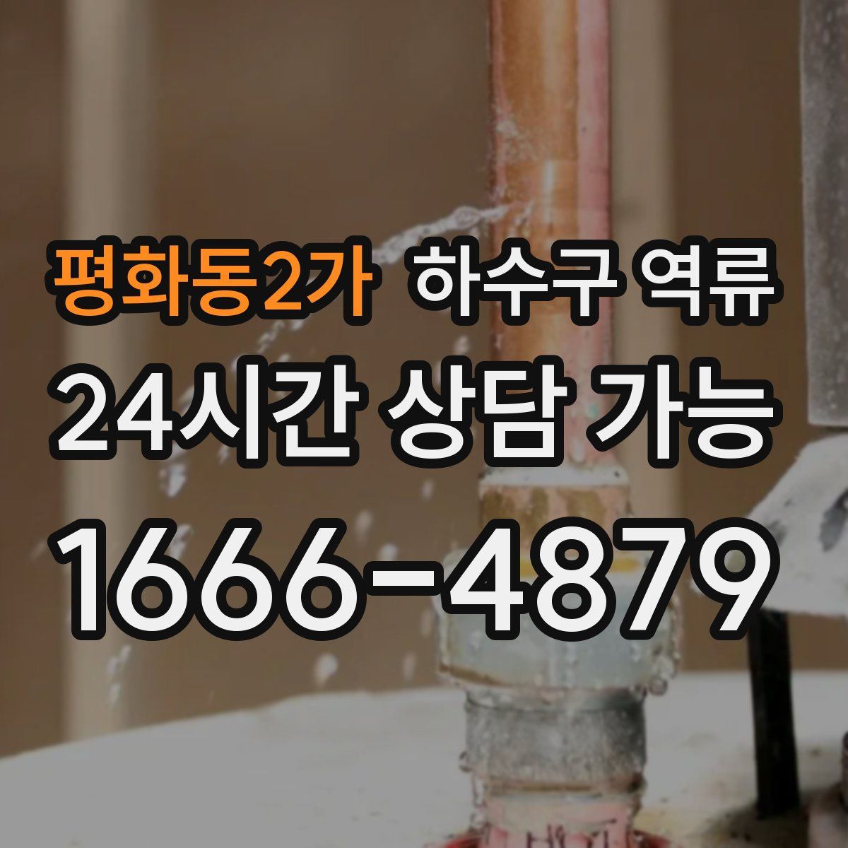 평화동2가 하수구 역류