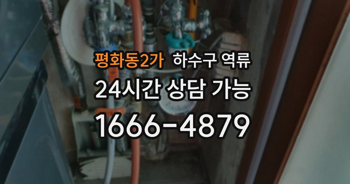 평화동2가 하수구 역류