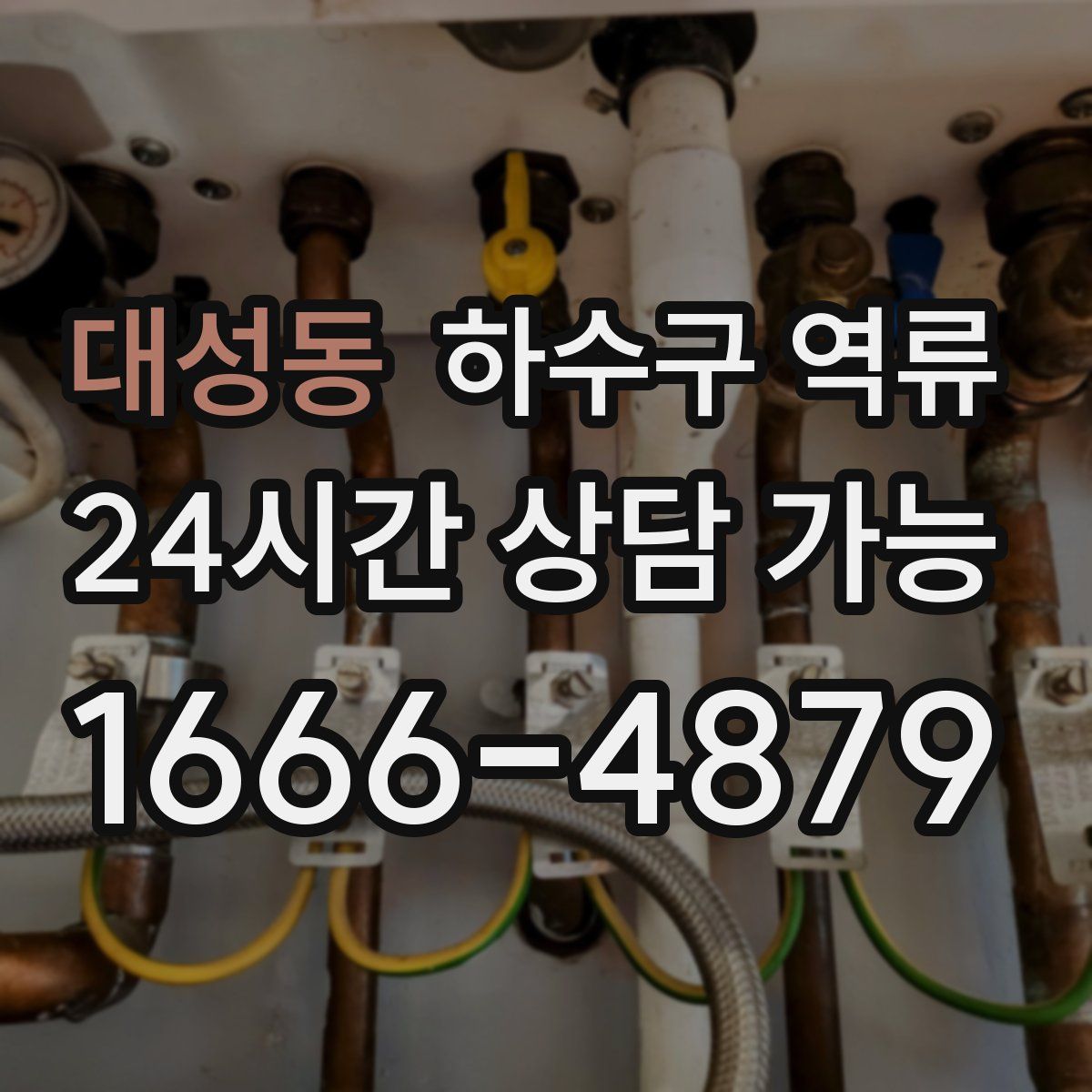 대성동 하수구 역류