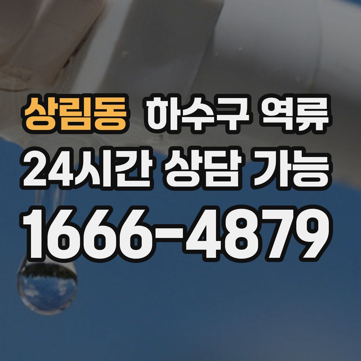 상림동 하수구 역류