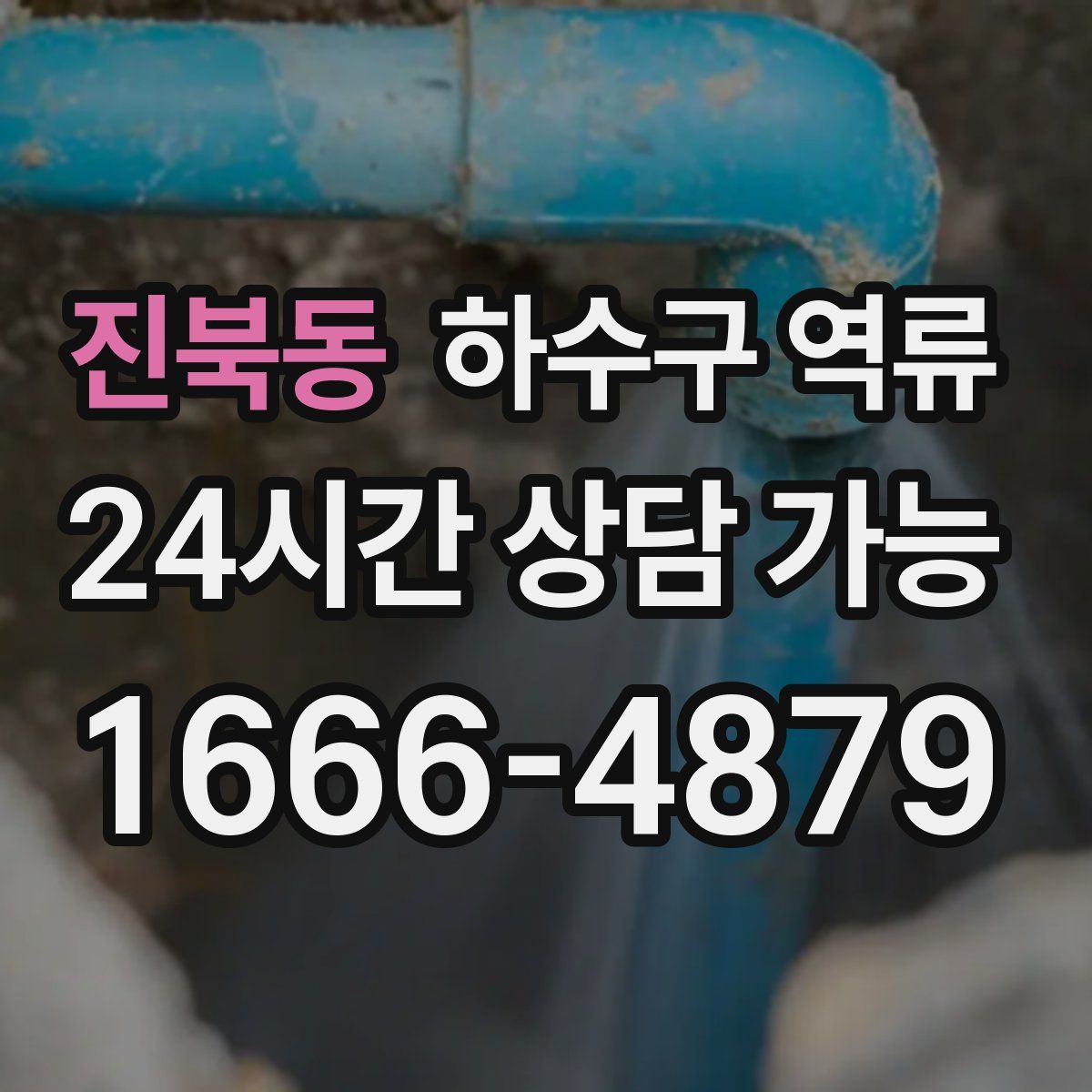 진북동 하수구 역류