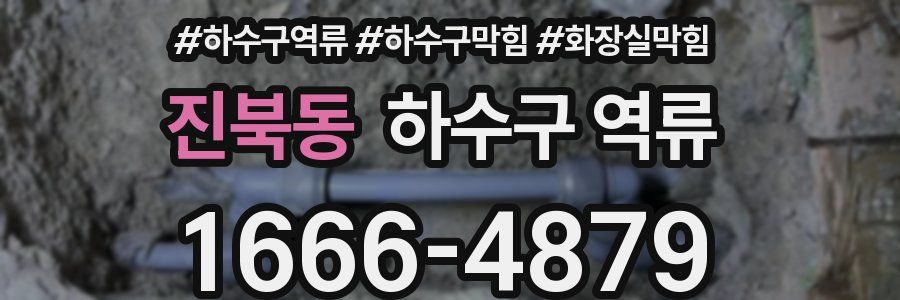 진북동 하수구 역류