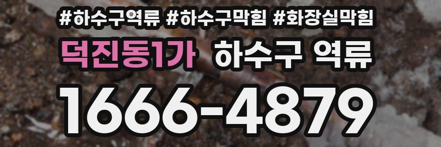 덕진동1가 하수구 역류