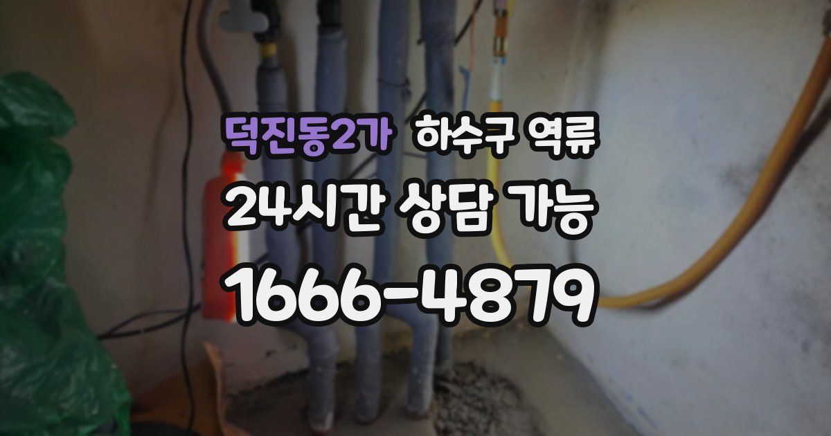 덕진동2가 하수구 역류