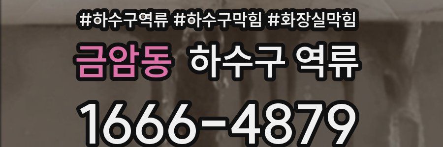 금암동 하수구 역류