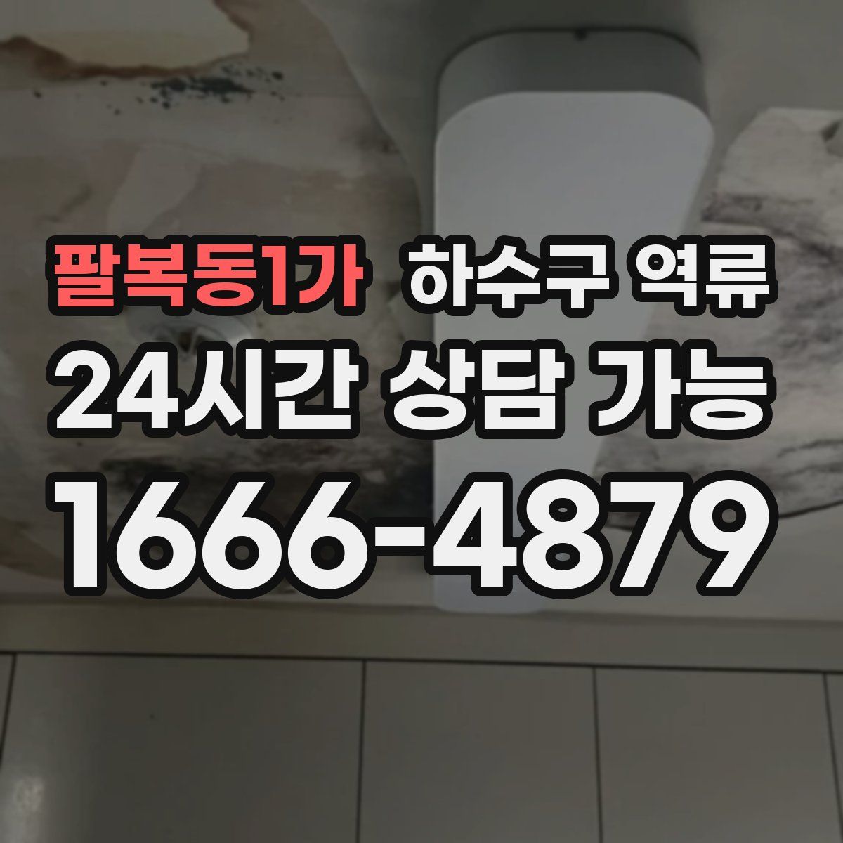 팔복동1가 하수구 역류