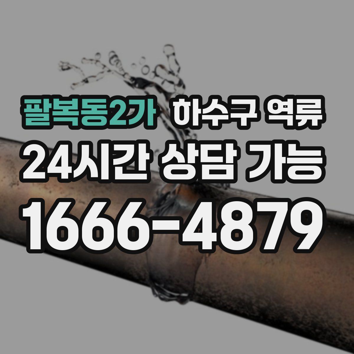 팔복동2가 하수구 역류