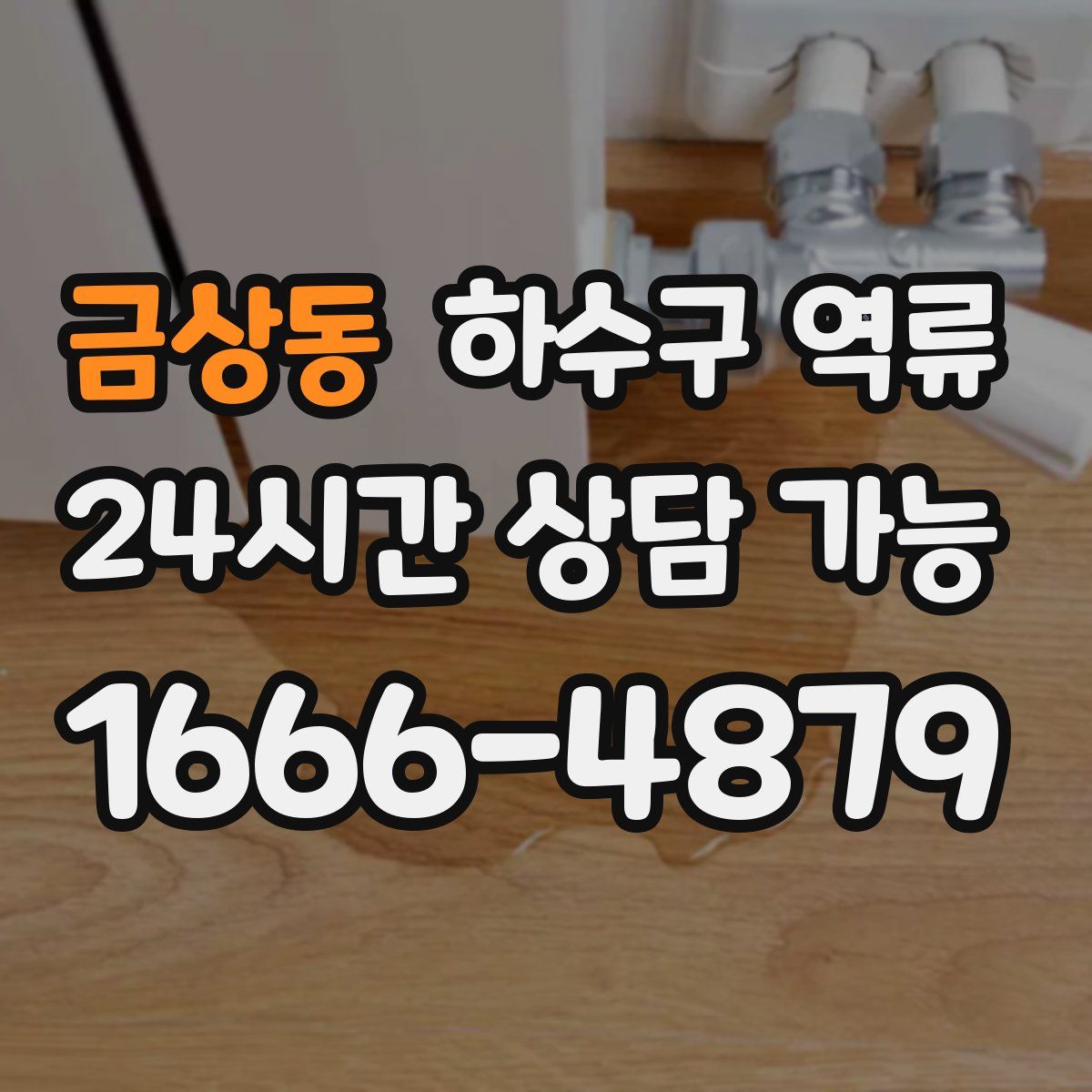 금상동 하수구 역류