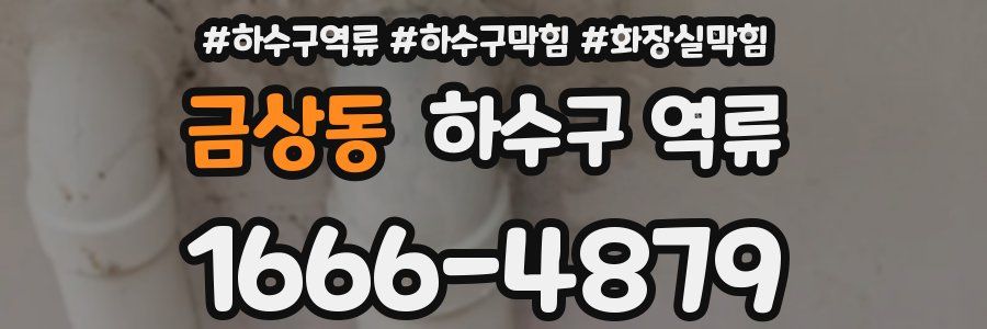 금상동 하수구 역류