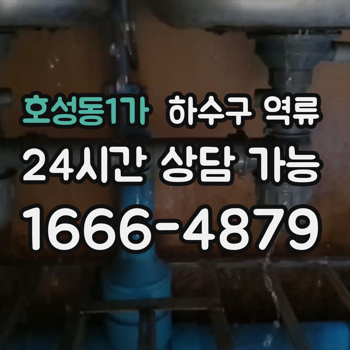 호성동1가 하수구 역류