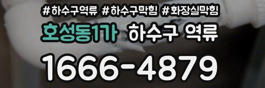 호성동1가 하수구 역류